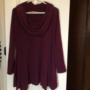 Soft Surroundings Plum Tunic